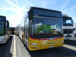 (291'117) - CarPostal Ouest - VD 623'509/PID 10'392 - MAN am 26. September 2026 in Kerzers, Interbus