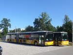 (218'175) - PostAuto Bern - BE 546'245 - Solaris am 27.