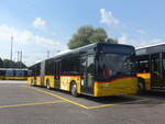 (227'286) - CarPostal Ouest - VD 242'251 - Solaris (ex TPB, Sdeilles) am 15.