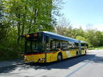 Solaris/774856/235046---postauto-zuerich---nr (235'046) - PostAuto Zrich - Nr. 406/ZH 597'923 - Solaris am 2. Mai 2022 in Ringlikon, Langwis