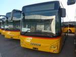 Iveco/714334/220698---autopostale-ticino---pid (220'698) - AutoPostale Ticino - PID 11'442 - Iveco am 12. September 2020 in Kerzers, Interbus