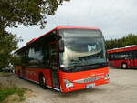(254'401) - Unser Roter Bus, Knigsbrck - HGW-LB 316 - Iveco am 30. August 2023 in Greifswald, City Automobile