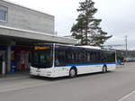 (179'051) - ATE Bus, Effretikon - Nr. 66/ZH 724'525 - MAN am 20. Mrz 2017 beim Bahnhof Bassersdorf