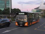 (192'243) - Bus Travel, Manukau - Nr.