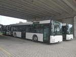 (210'251) - Interbus, Yverdon - Nr. 60 - MAN (ex transN, La Chaux-de-Fonds Nr. 205; ex TN Neuchtel Nr. 205) am 12. Oktober 2019 in Kerzers, Murtenstrasse