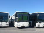 MAN/701890/217476---interbus-kerzers---mangoeppel (217'476) - Interbus, Kerzers - MAN/Gppel (ex ARCC Aubonne; ex Rossier, Lussy) am 31. Mai 2020 in Kerzers, Interbus