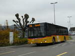 MAN/795557/242660---postauto-ostschweiz---sg (242'660) - PostAuto Ostschweiz - SG 436'002 - MAN am 13. November 2022 beim Bahnhof Schmerikon