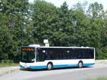 (264'586) - PNVG Querfurt - SK-PN 867 - MAN am 10. Juli 2024 beim Bahnhof Bad Drrenberg