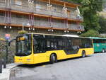 MAN/864128/267202---coopalsa-andorra-la-vella (267'202) - Coopalsa, Andorra la Vella - M8692 - MAN am 18. September 2024 in Ordino, Portal del Riu