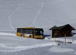 (270'364) - GrindelwaldBus, Grindelwald - Nr. 14/BE 202'568 - MAN/Gppel am 29. Dezember 2024 auf der Bussalp