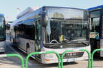 BUS/ITALIA, Padova - Nr.