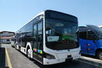 (289'270) - ATE Bus, Effretikon - Nr.