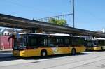 (289'356) - Ryffel, Volketswil - Nr. 368/ZH 470'561/PID 11'146 - MAN am 4. Juli 2026 beim Bahnhof Pf�ffikon