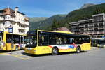 (289'455) - GrindelwaldBus.