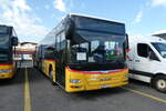 (289'643) - CarPostal Ouest - VD 622'931/PID 10'205 - MAN (ex Faucherre, Moudon) am 18. Juli 2026 in Kerzers, Interbus