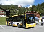 (290'810) - GrindelwaldBus, Grindelwald - Nr.