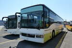 (289'264) - FART Locarno - Nr. 19 - Mercedes am 27. Juni 2026 in Kerzers, Interbus