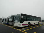 (243'698) - Limmat Bus, Dietikon - AG 448'712 - Mercedes (ex BDWM Bremgarten) am 10.