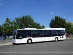 mercedes-citaro-c2/855501/264498---regionalbus-leipzig-deuben-- (264'498) - Regionalbus Leipzig, Deuben - L-YP 1199 - Mercedes am 9. Juli 2024 in Markkleeberg, Seepromenade