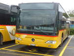 (226'879) - CarPostal Ouest - VD 335'330 - Mercedes am 1.