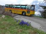 (161'040) - AVG Meiringen - Nr. 74/BE 607'481 - Saurer/R&J (ex PostAuto Berner Oberland; ex P 24'357) am 25. Mai 2015 in Grindelwald, Waldspitz