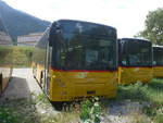 Volvo/710702/219781---atv-rivera---pid (219'781) - ATV, Rivera - PID 11'473 - Volvo am 16. August 2020 in Chur, Sommeraustrasse