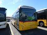 (290'956) - PostAuto Wallis - VS 459'800/PID 10'640 - Volvo (ex Nr.