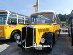 Berna/862069/266371---party-bus-grosswangen---lu (266'371) - Party-Bus, Grosswangen - LU 30'387 - Berna/R&J (ex Widmer, Aarburg AG ; ex Gutjahr, Pfungen Nr. 3; ex AOE Langnau Nr. 19; ex SER Langnau Nr. 19) am 31. August 2024 in Oberkirch, CAMPUS Sursee