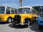 (266'463) - Party-Bus, Grosswangen - LU 30'387 - Berna/R&J (ex Widmer, Aarburg; ex Gutjahr, Pfungen Nr. 3; ex AOE Langnau Nr. 19; ex SER Langnau Nr. 19) am 31. August 2024 in Oberkirch, CAMPUS Sursee