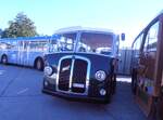 (290'495) - Halter, Oberkulm - AG 272'117 - Berna/R&J (ex M+79'502)  am 29. August 2026 in Oberkirch, CAMPUS Sursee