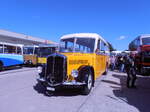 (290'565) - Guggenb�hl, Eschenbach - LU 10'207 - Berna/Hess (ex Bass, Frasnacht; ex Heilst�tte, Allerheiligenberg) am 29.