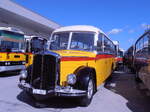 (290'577) - Huber, Oberkirch - LU 647 - Berna/Lauber (ex Ruppen, Stalder; ex Williner, Gr�chen) am 29.