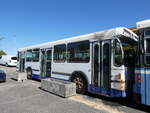 (291'099) - A�roport, Gen�ve (R�trobus) - FBW/Hess-Lauber (ex TPG Gen�ve Nr. 548; ex TPG Fen�ve Nr. 258) am 26. September 2026 in Faoug, MS Carrosserie (Teilaufnahme)