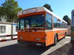 (155'180) - Sgura-Bus, Balerna - TI 257'950 - Saurer/Hess (ex AMSA Chiasso) am 13. September 2014 in Lugano, Saurertreffen