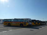 (255'026) - Eichenberger, Bsingen - Saurer/R&J (ex Schlapp, Cottens; ex Ruklic, Schaffhausen; ex Heim, Flums; ex Frigg, Zernez; ex  24'279) am 9. September 2023 in Kerzers, Interbus