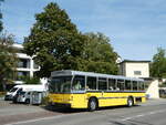 (255'308) - Wanner, Schleitheim - SH 48'096 - Saurer/Hess (ex Ruklic, Schaffhausen; ex VBSH Schaffhausen Nr.
