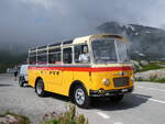 Saurer/858190/265147---schmid-thoerishaus---nr (265'147) - Schmid, Thrishaus - Nr. 9/BE 26'105 - Saurer/R&J (ex Geiger, Adelboden Nr. 9) am 28. Juli 2024 in Grimsel, Passhhe