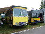 Saurer/860428/265792---grison-ernetschwil---sg (265'792) - Grison, Ernetschwil - SG 490'336 - Saurer/Tscher (ex Vogt, Serneus Nr. 11; ex P 24'600) am 17. August 2024 in Neuhausen, Langriet