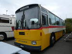 Saurer/860451/265815---pfluger-unterkulm---ag (265'815) - Pfluger, Unterkulm - AG 38'502 - Saurer/Tscher (ex Rllin, Regensdorf; ex P 24'272) am 17. August 2024 in Neuhausen, Langriet