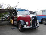 Saurer/860456/265820---morger-horgenberg---zh (265'820) - Morger, Horgenberg - ZH 32'050 U - Saurer/Tscher (ex P 23'167; ex Casper, Lenzerheide) am 17. August 2024 in Neuhausen, Langriet