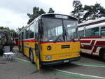 Saurer/860548/265826---gloor-staufen---ag (265'826) - Gloor, Staufen - AG 6013 - Saurer/Hess (ex ALMAT, Tagelswangen; ex P 26'516) am 17. August 2024 in Neuhausen, Langriet