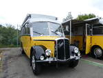 Saurer/860558/265836---langenegger-a-waedenswil-- (265'836) - Langenegger A., Wdenswil - ZH 20'206 - Saurer/Krapf (ex Tscharner, Thusis) am 17. August 2024 in Neuhausen, Langriet