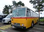 Saurer/860567/265845---simoncini-daellikon---sh (265'845) - Simoncini, Dllikon - SH 41'303 - Saurer/Tscher (ex Lambach, Rieden; ex Fssler, Winterthur; ex Steiger, Schlatt; ex P 24'647) am 17. August 2024 in Neuhausen, Langriet