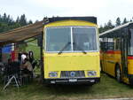 Saurer/860651/265888---grison-ernetschwil---sg (265'888) - Grison, Ernetschwil - SG 490'336 - Saurer/Tscher (ex Vogt, Serneus Nr. 11; ex P 24'600) am 17. August 2024 in Neuhausen, Langriet