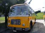 Saurer/861963/266331---streiff-gelterkinden---ag (266'331) - Streiff, Gelterkinden - AG 306'557 - Saurer/Gangloff (ex Oldie-Tours Zrisee, Wollerau; ex OTAG, Wald; ex Leibundgut, Obergoldbach; ex Krebs, Belpberg) am 31. August 2024 in Oberkirch, CAMPUS Sursee