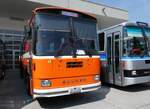 Saurer/862051/266353---mangold-oberengstringen---ag (266'353) - Mangold, Oberengstringen - AG 505'198 - Saurer/Hess (ex RhV Altsttten Nr. 45) am 31. August 2024 in Oberkirch, CAMPUS Sursee