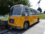 Saurer/862353/266412---streiff-gelterkinden---ag (266'412) - Streiff, Gelterkinden - AG 306'557 - Saurer/Gangloff (ex Oldie-Tours Zrisee, Wollerau; ex OTAG, Wald; ex Leibundgut, Obergoldbach; ex Krebs, Belpberg) am 31. August 2024 in Oberkirch, CAMPUS Sursee