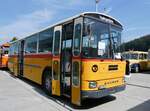 Saurer/862411/266430---ryser-auswil---be (266'430) - Ryser, Auswil - BE 6061 U - Saurer/Hess (ex Flury, Balm) am 31. August 2024 in Oberkirch, CAMPUS Sursee