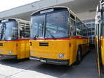 (266'438) - Schmid, Thrishaus - BE 26'206 - Saurer/Tscher (ex P 24'244) am 31. August 2024 in Oberkirch, CAMPUS Sursee