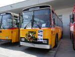 Saurer/862421/266440---schmid-buchs---zh (266'440) - Schmid, Buchs - ZH 33'165 U - Saurer/Tscher (ex Solr+Fontana, Ilanz Nr. 2; ex Solr+Fontana, Ilanz Nr. 8) am 31. August 2024 in Oberkirch, CAMPUS Sursee